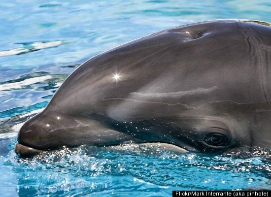 external image slide_10806_142280_large.jpg?1318116095447