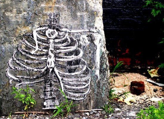 Mr. Bones