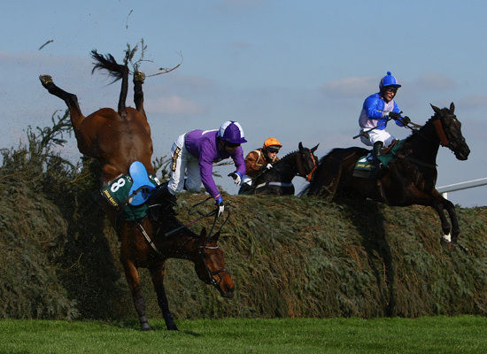 race horse falls