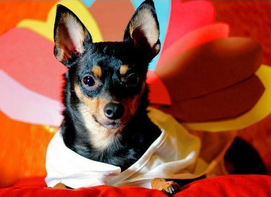 external image slide_13768_188395_large.jpg?1290523912360