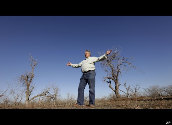Harvey Hayek stands where his pecan grove once stood