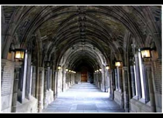 Top 10 Colleges for Ambitious Students