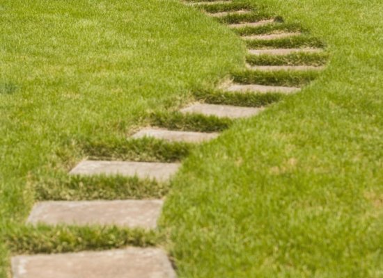 yard pesticides