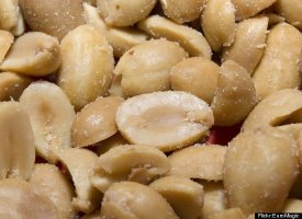 Rodent Tooth In Planter's Peanuts