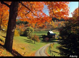 #51 Vermont (23 percent)