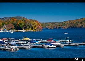 #43 Connecticut (31 percent)