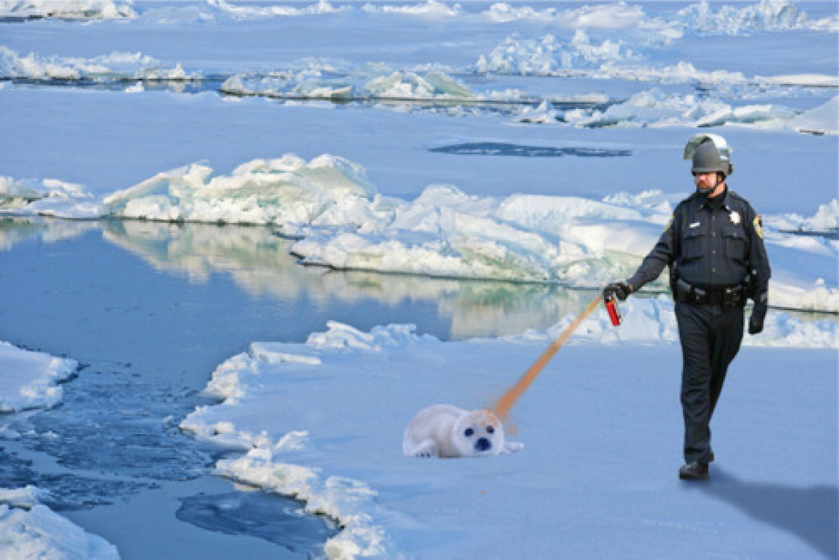 John Pike Memes Go Viral PepperSpraying UC Davis Cop