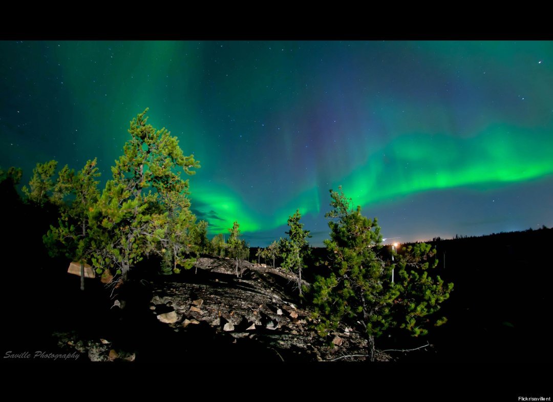 boreal boreal