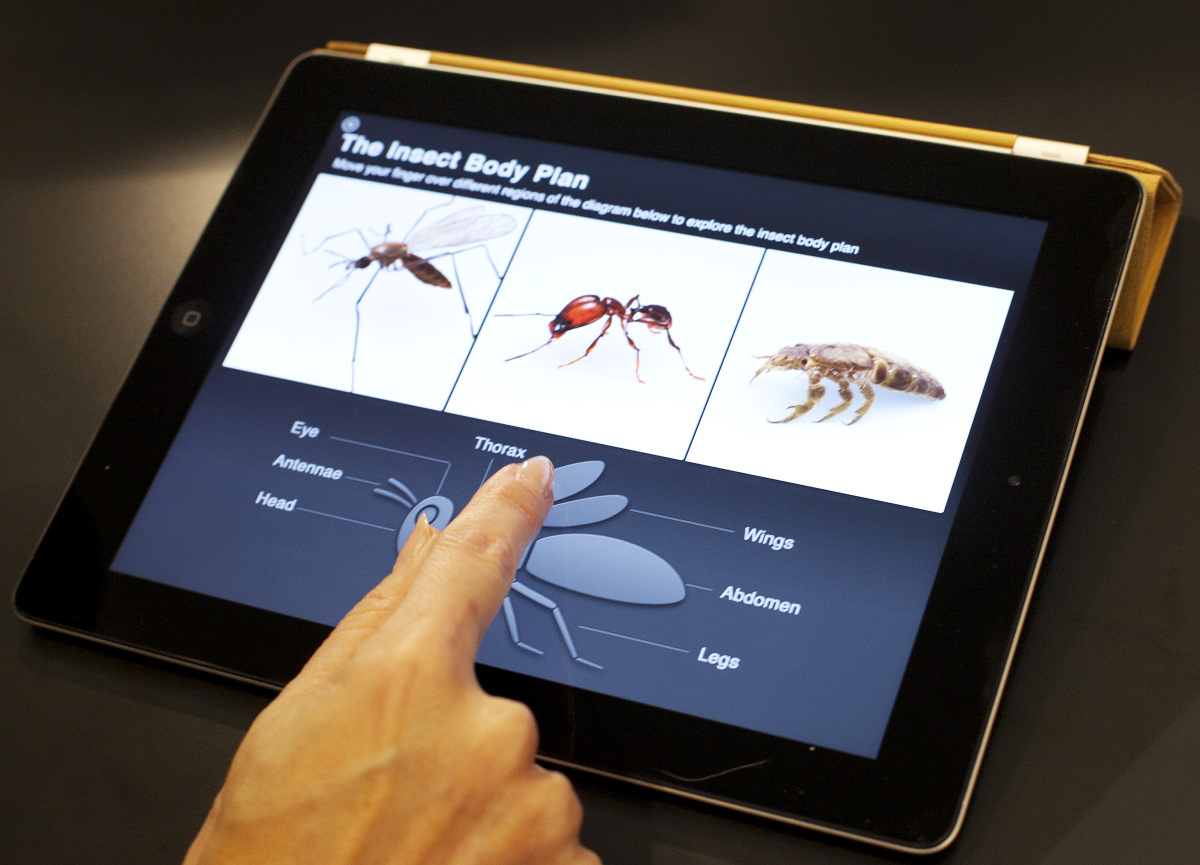 Apple Textbooks Everything You Need To Know About Apple's New