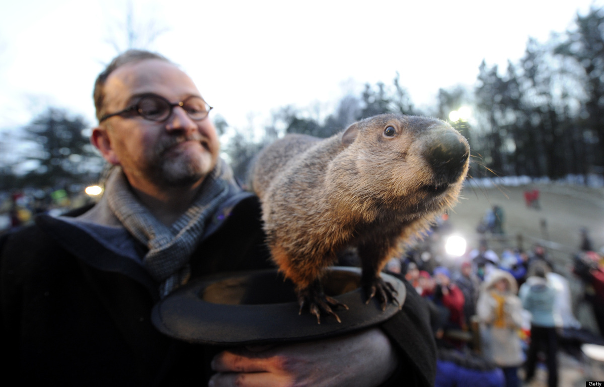 Groundhog Day 2012: 5 Ways To Celebrate | HuffPost