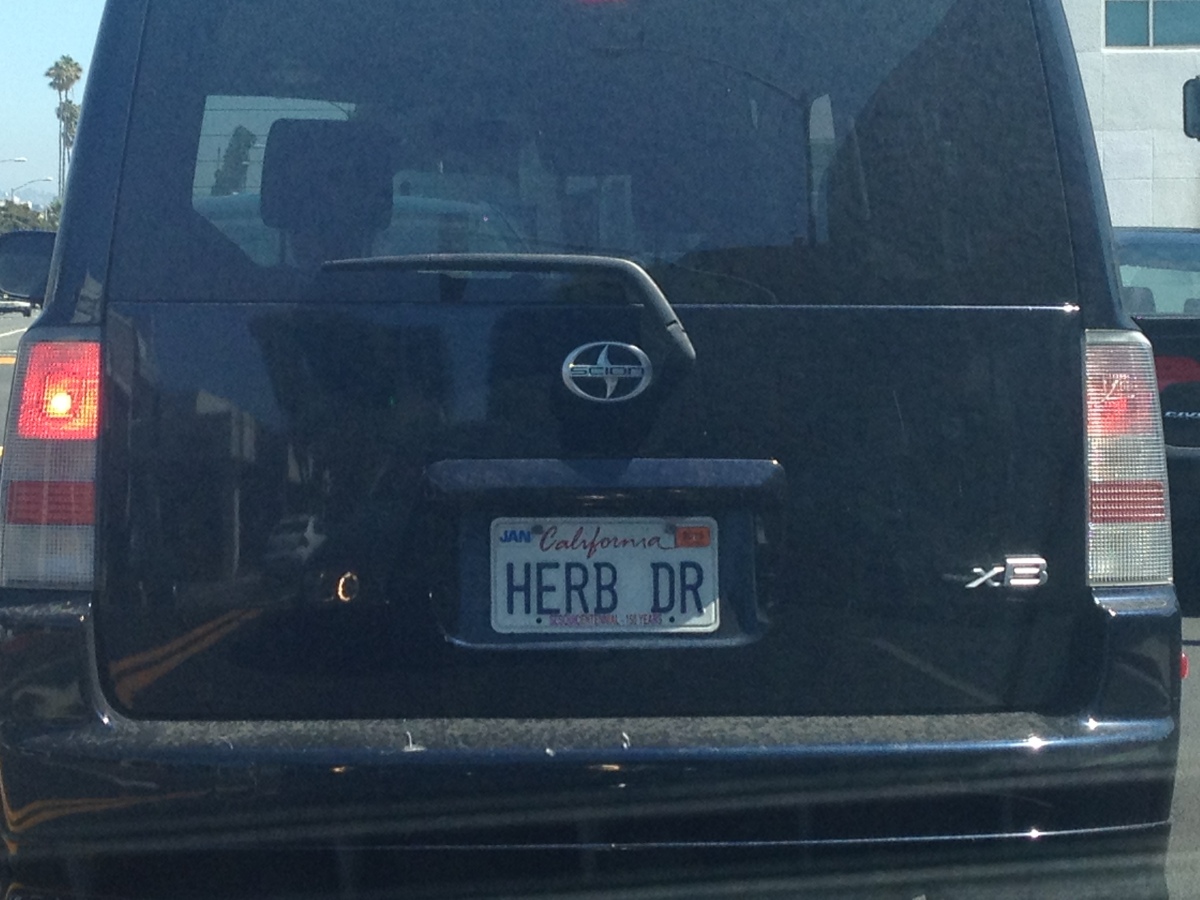 Vanity Plates In Los Angeles We Have 20 Million People And Endless