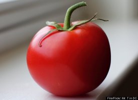 Flavr Savr tomato