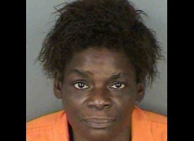 Dumb Crime: Masterminds Need Not Apply 