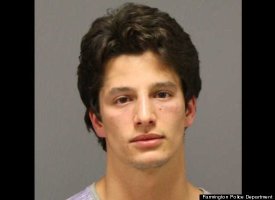 Dumb Crime: Masterminds Need Not Apply 