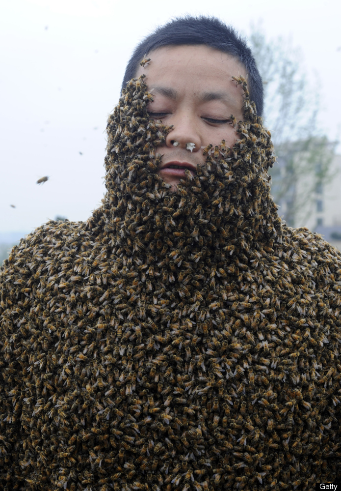 A Man Covered With 331000 Bees In Record Breaking Attempt ~ Welcome To The World Of Facts