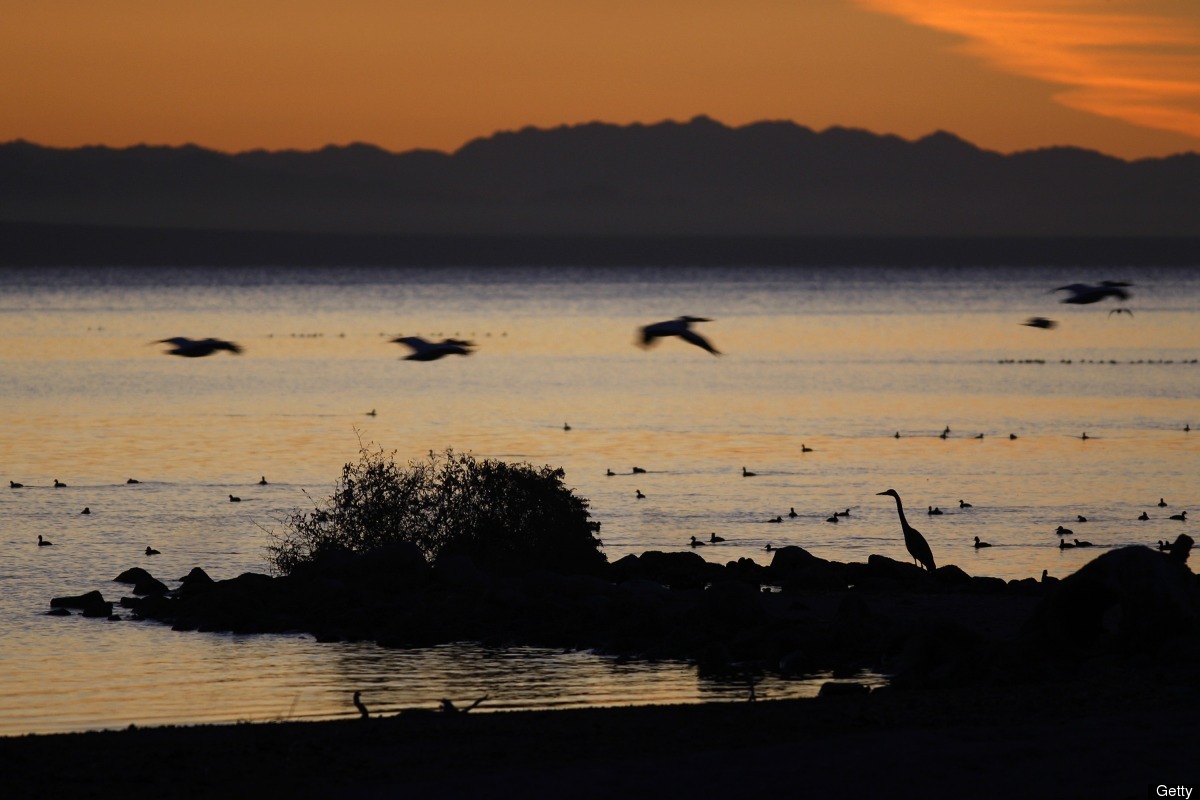 Dried Salton Sea Could Produce 'Clouds Of Toxic Dust' Under San Diego