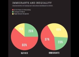 Immigrants And Inequality