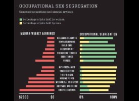 Occupational Sex Segregation