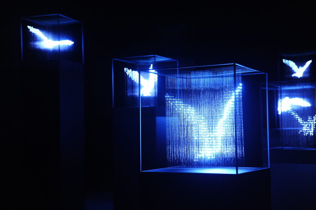 makoto tojiki s 3d light sculptures take a softer turn makoto tojiki s 3d light sculptures take a softer turn