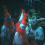 Creepy Clowns