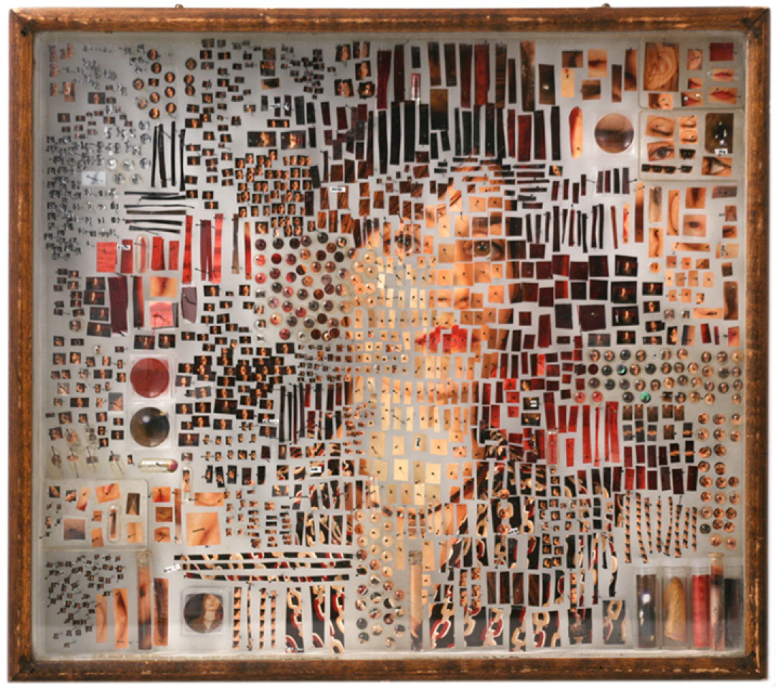 Michael Mapes' Incredible Photographs Of Dissected Human Specimens (PHOTOS) HuffPost