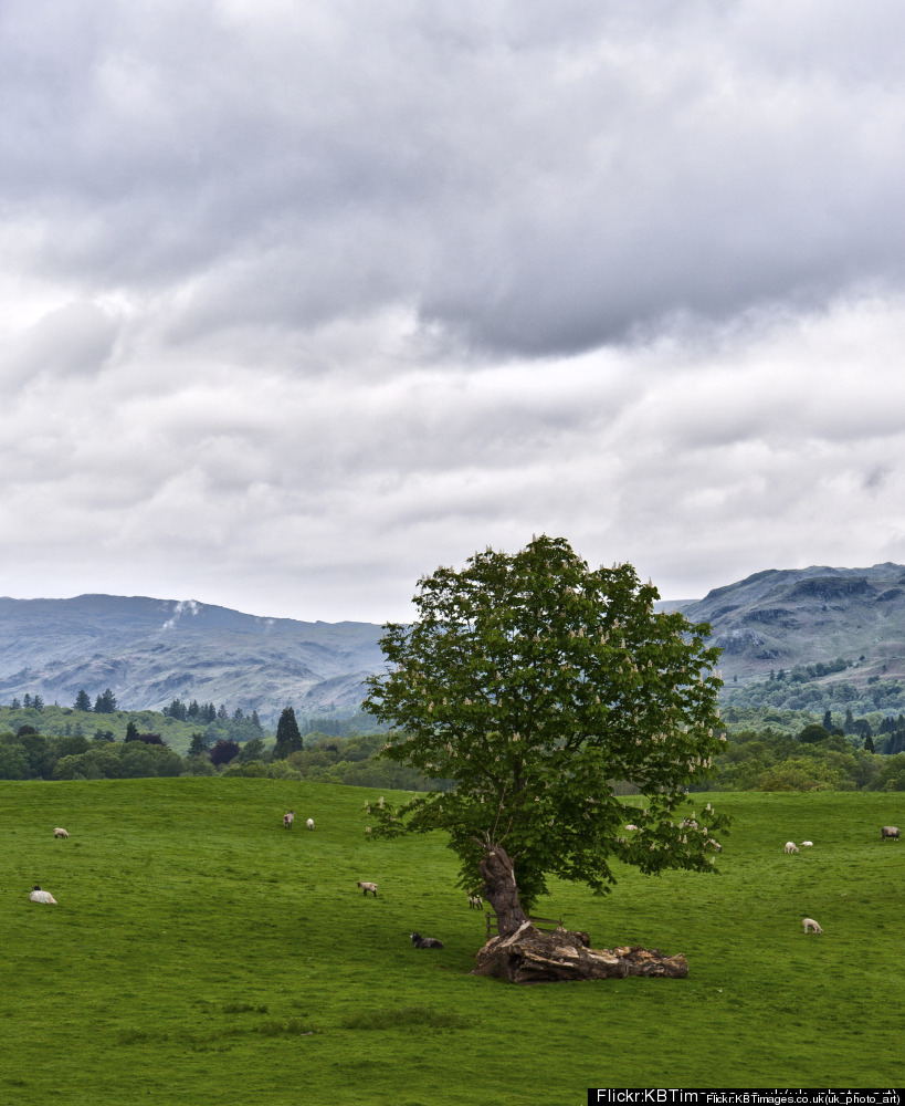 Top 10 Camping Destinations Across The Globe (PHOTOS) HuffPost