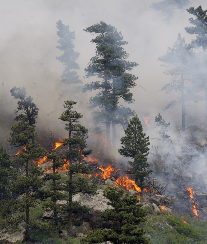 Hewlett Fire Colorado