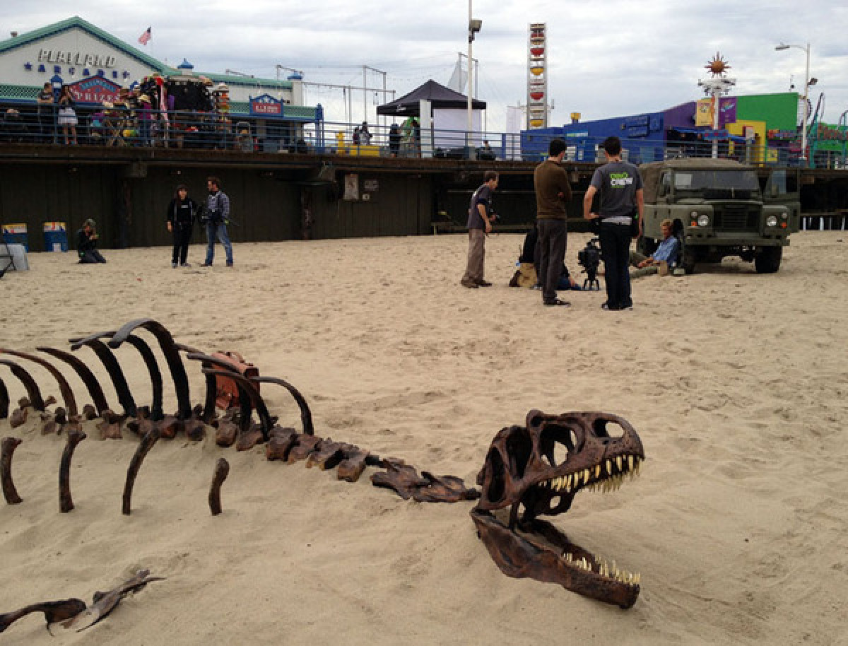 dinosaur bones exhibit near me