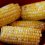 Best: Corn On The Cob