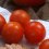 Best: Cherry Or Grape Tomatoes