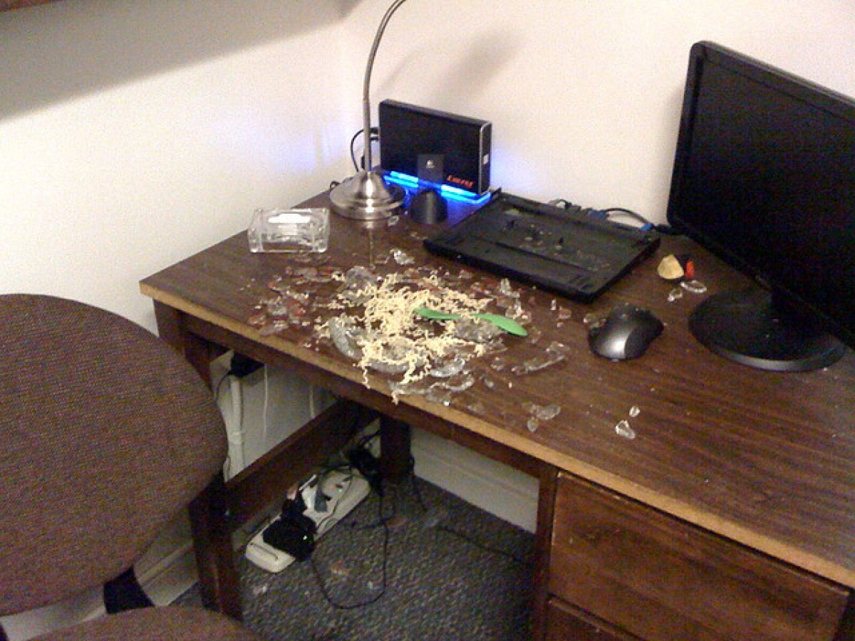 Why Your Pyrex Suddenly Shattered...And How To Clean It Up (PHOTOS