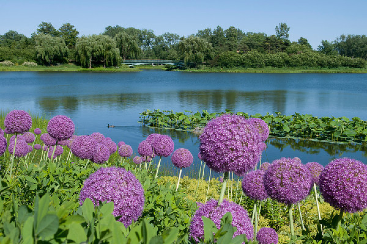 Eleletsitz Top 10 Most Beautiful Gardens In The World Images