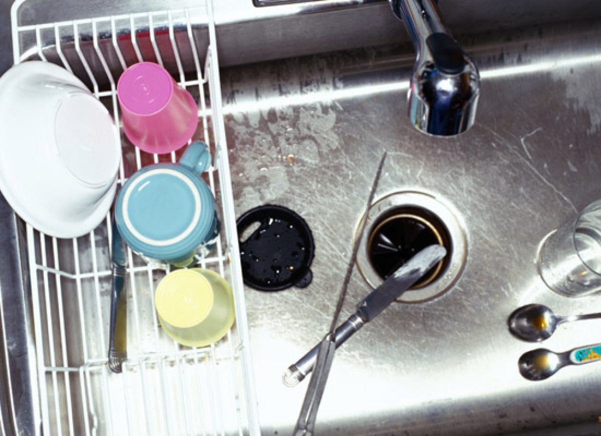 bacteria in your kitchen sink