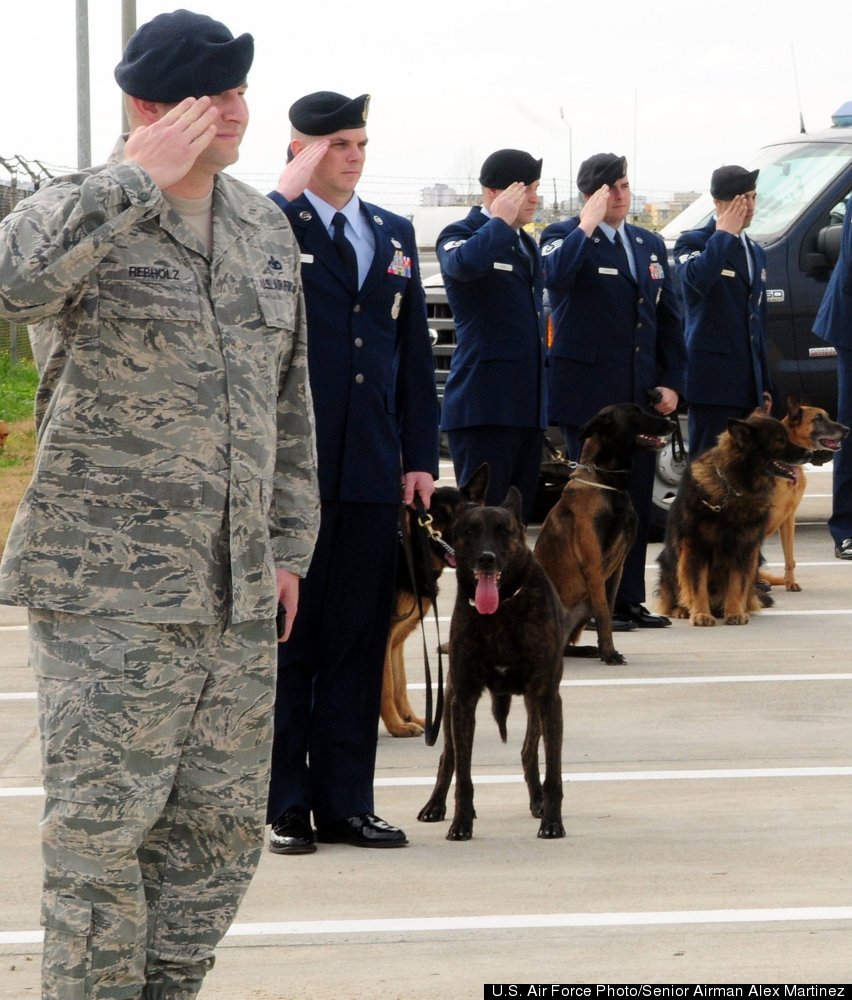 Dogs Of War: Photos Remembering The Military's Canine Heroes | HuffPost