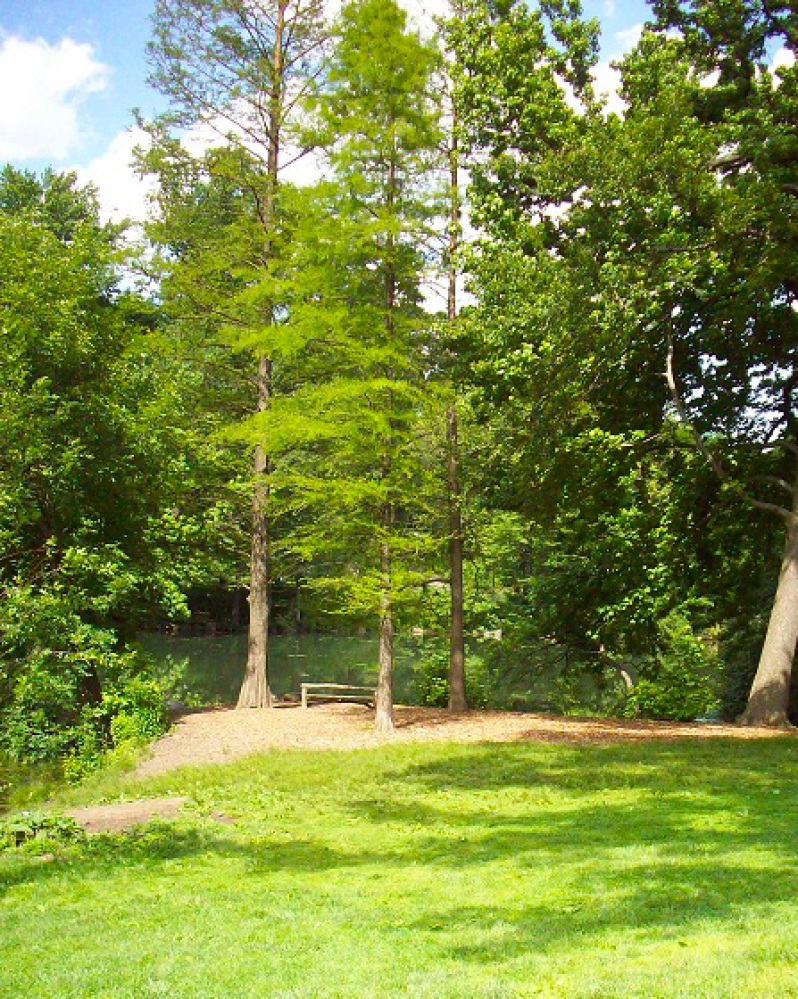 New York City Nature North Woods, Central Park HuffPost