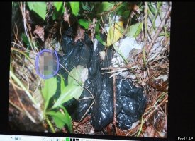 Casey Anthony Trial June 9, 2011