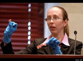 Casey Anthony Trial June 11, 2011