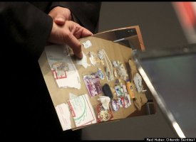 Casey Anthony Trial June 17, 2011