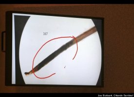 Casey Anthony Trial Photos