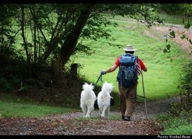 Luke Robinson, added June 15, 2010