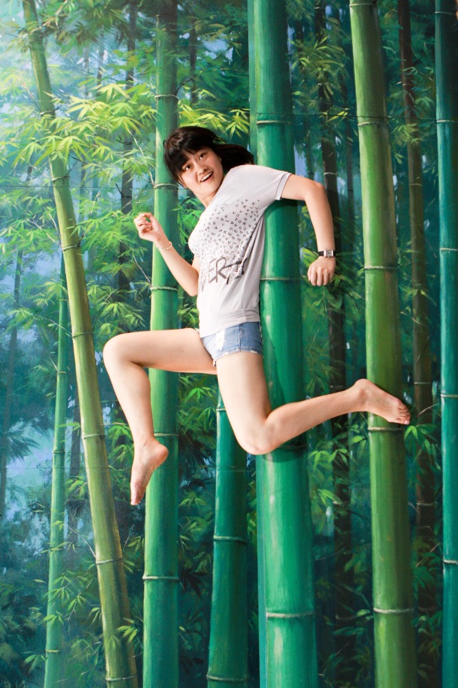2012 Magic Art Special Exhibition Of China 2012 Magic Art Special Exhibition Of China