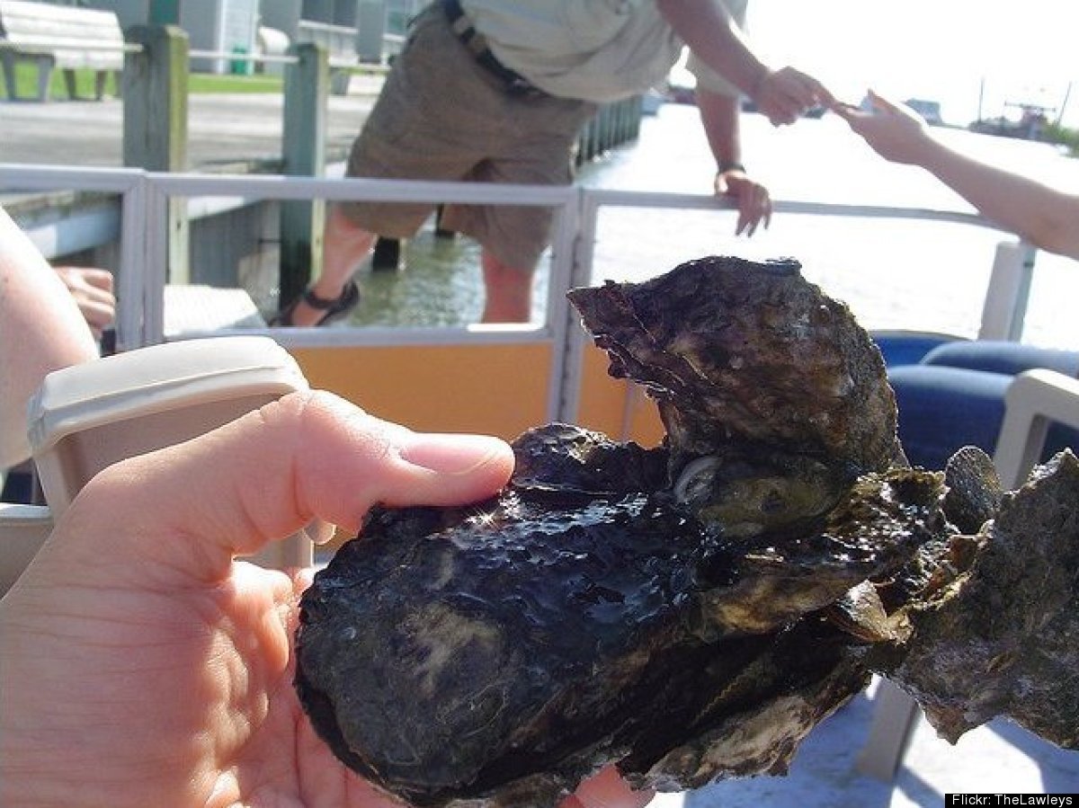 East Coast Oysters A Guide To Origin, Flavor And How To Eat Them