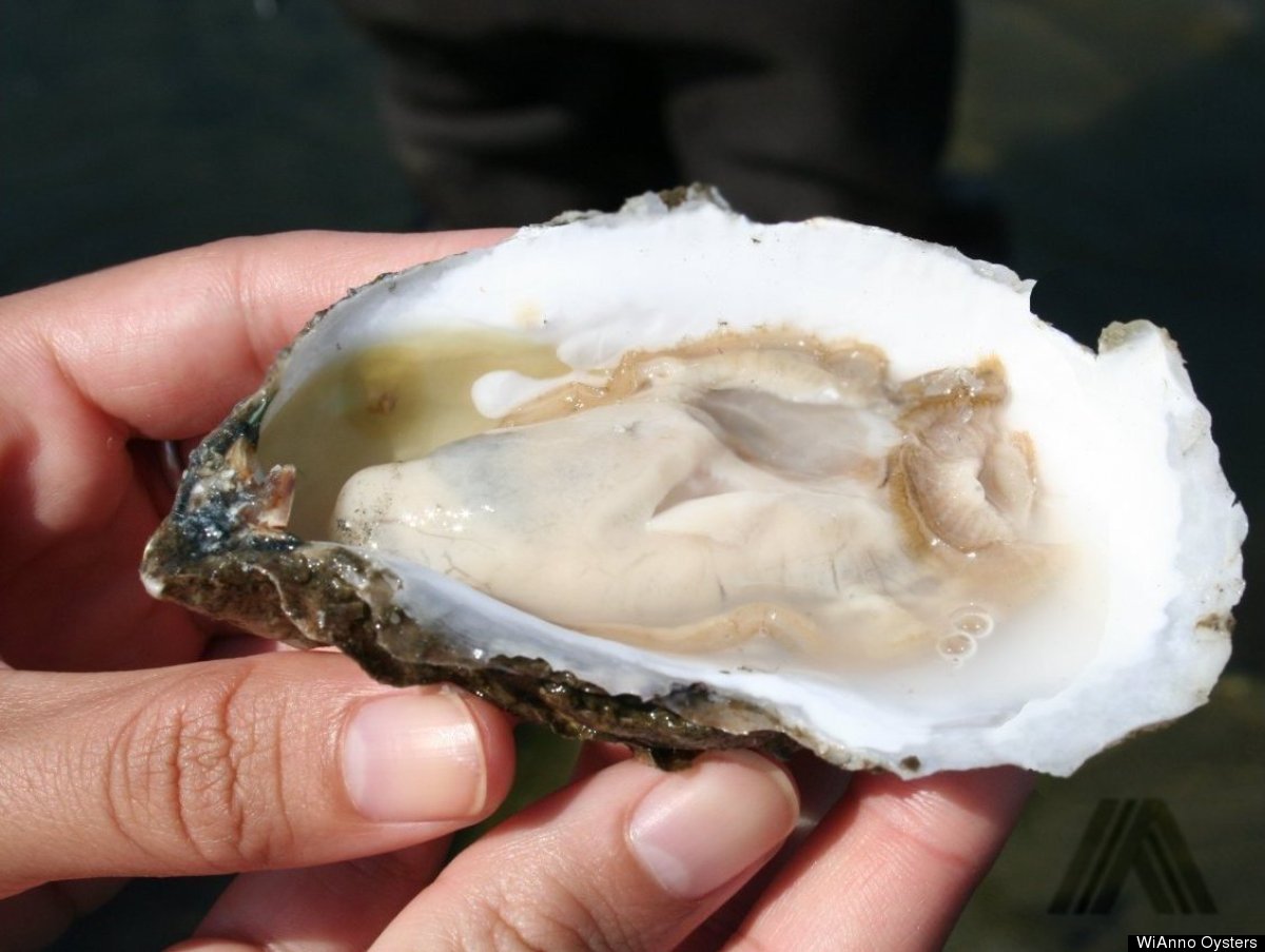 East Coast Oysters A Guide To Origin, Flavor And How To Eat Them