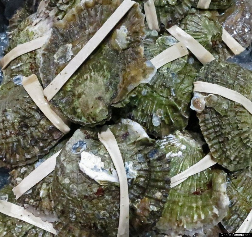 East Coast Oysters A Guide To Origin, Flavor And How To Eat Them