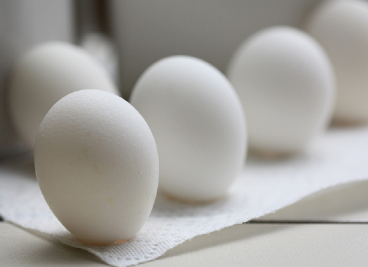 Home Remedies For Burns Foods You Can Use As Medicine HuffPost