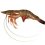 Imported Wild Shrimp