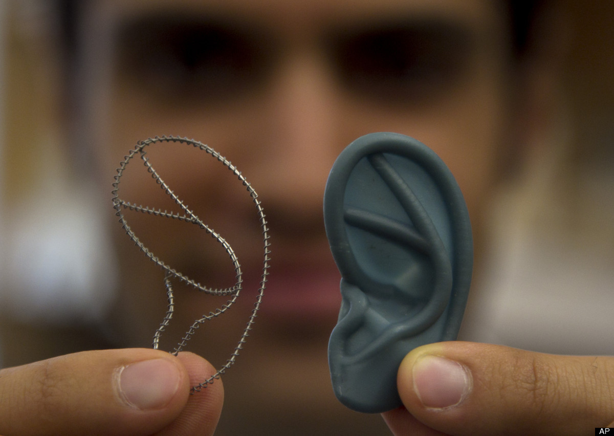 tissue engineering new ears grown from collagen cells tissue engineering new ears grown from collagen cells