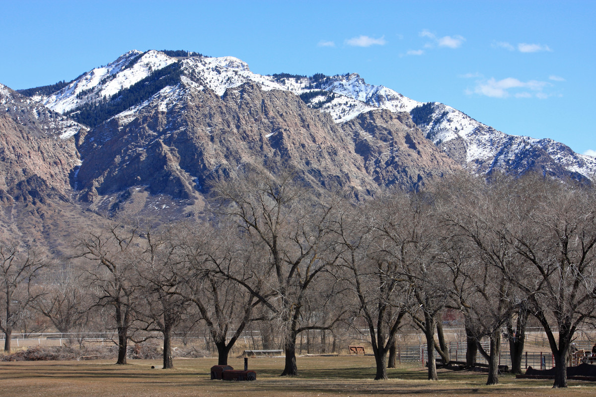 singles over 50 club