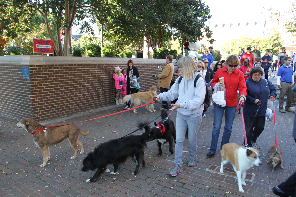 Alexandria Shelter Walk For Homeless Animals Raises 24,000 To Care For