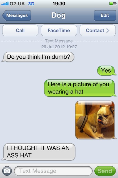 top funny iPhone best Texts from dog jokes about dogs pet family good laugh